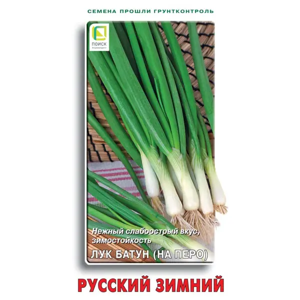 Семена овощей Поиск лук батун Русский зимний