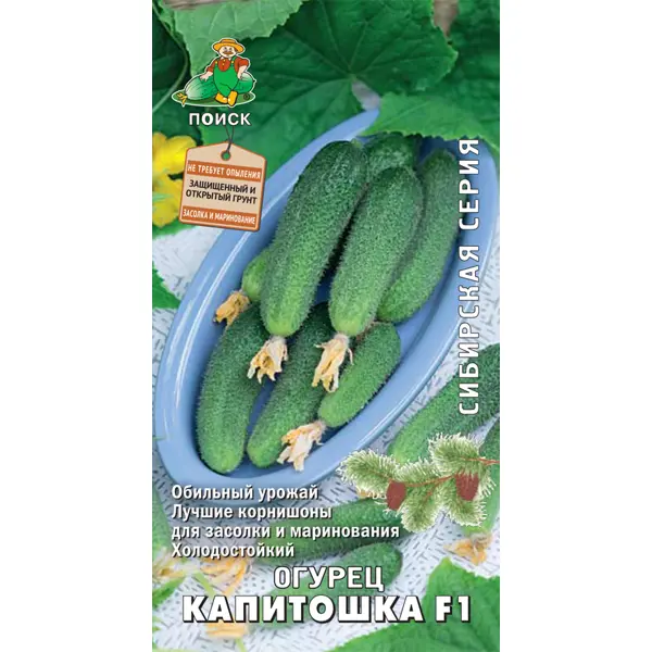Семена Огурец Сибирская серия «Капитошка» F1, 1 г