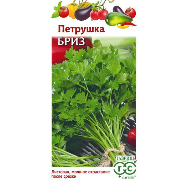 Семена зелени петрушка листовая Бриз