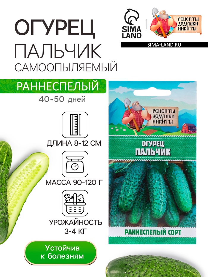 Семена Огурец «Пальчик», 0.5 г, «Рецепты дедушки Никиты»