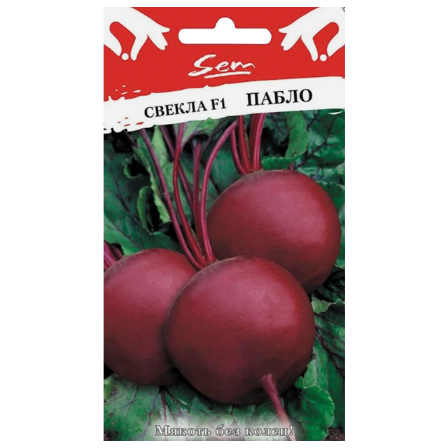 семена Свекла РУССКИЙ ОГОРОД Пабло F1 1г