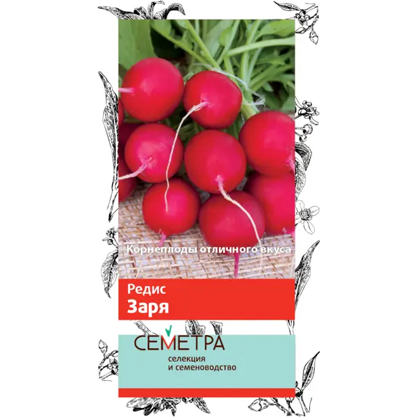 Семена овощей Поиск редис Заря