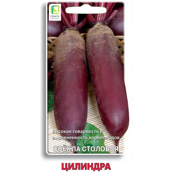 Семена овощей Поиск свекла столовая Цилиндра