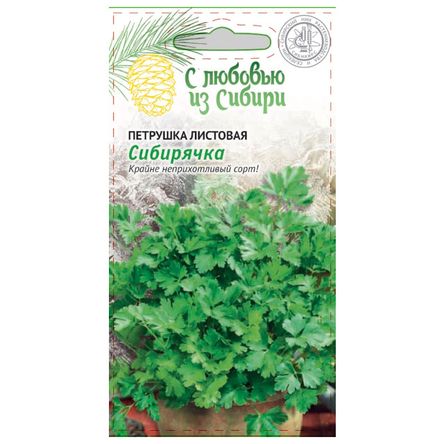 семена петрушка Сибирячка Сибирская серия 2г